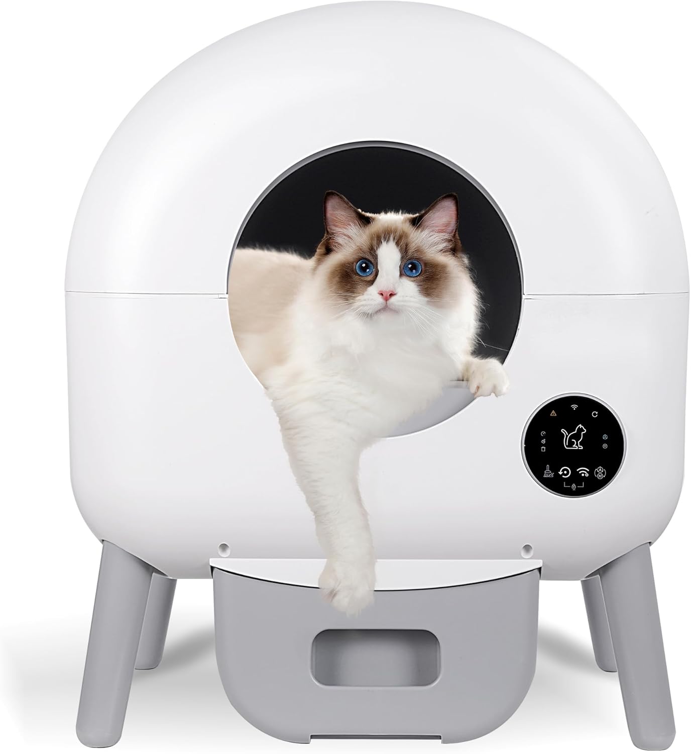 Smart Self-Cleaning Cat Litter Box with a cat inside