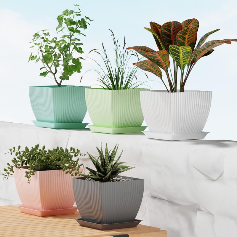 Image of StyleX Store Plastic Square Flower Pots with Tray | Durable Outdoor Indoor Planters with Drainage Hole Saucers | Stylish Plant Containers for Home, Garden, Office, and Balcony (Set of 5, Multicolour)