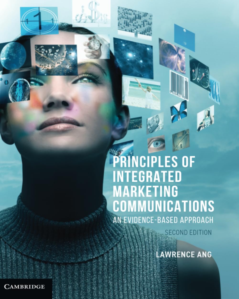 Principles of Integrated Marketing Communications: An Evidence-based Approach