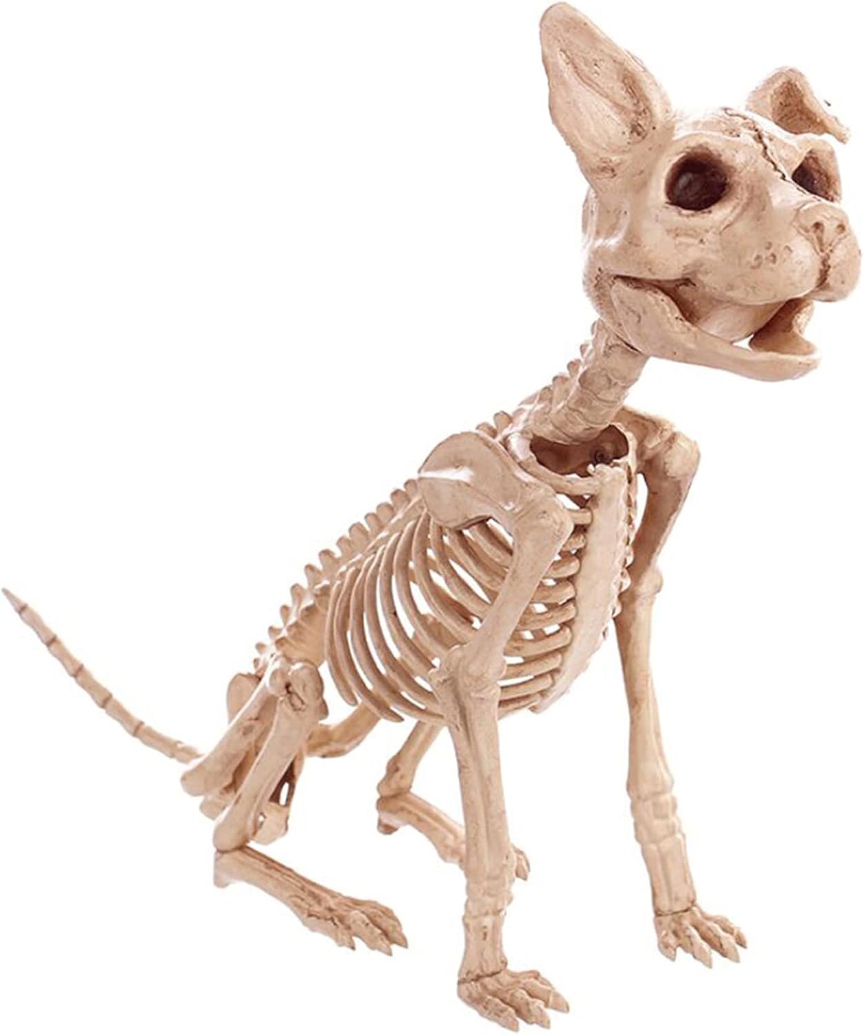 KH66ZKY Skeleton Dog Decoration Halloween Cemetery