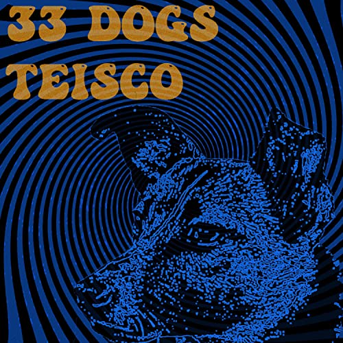  Teisco