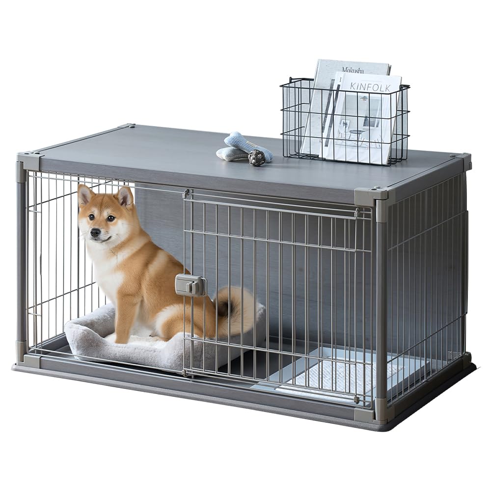 Amazon.co.jp: アイリスオーヤマ インテリアウッディサークル PIWS