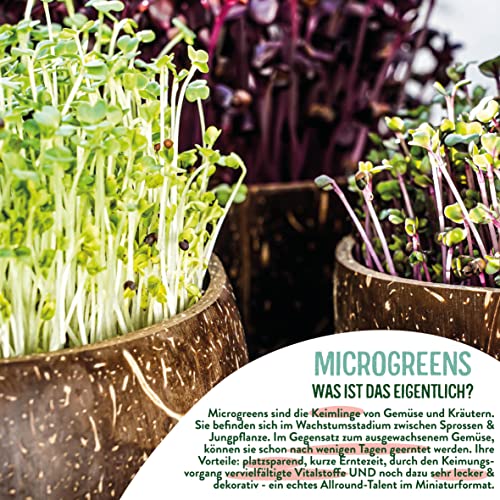valeaf BIO Microgreens Anzuchtset I Starter Kit zur Sprossen Samen Anzucht I Microgreens Anzucht Sprossensamen I Sprossen Set zum Sprossen selber Züchten I Mikrogrün Samen