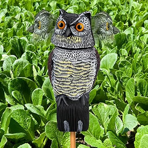 Owl Decoys to Scare Birds and Squirrels Away Cover