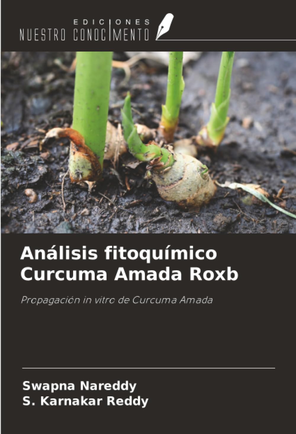 Análisis fitoquímico Curcuma Amada Roxb: Propagación in vitro de Curcuma Amada