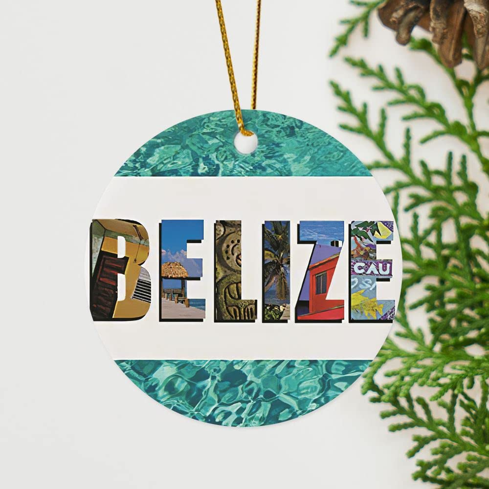 ArogGeld Christmas Ceramic Ornaments,Belize Tropical Beach Blue Ocean OrnamentChristmas Tree Decorations and Ornaments Corded Floral Fairy Tale for Pregnancy Announcement
