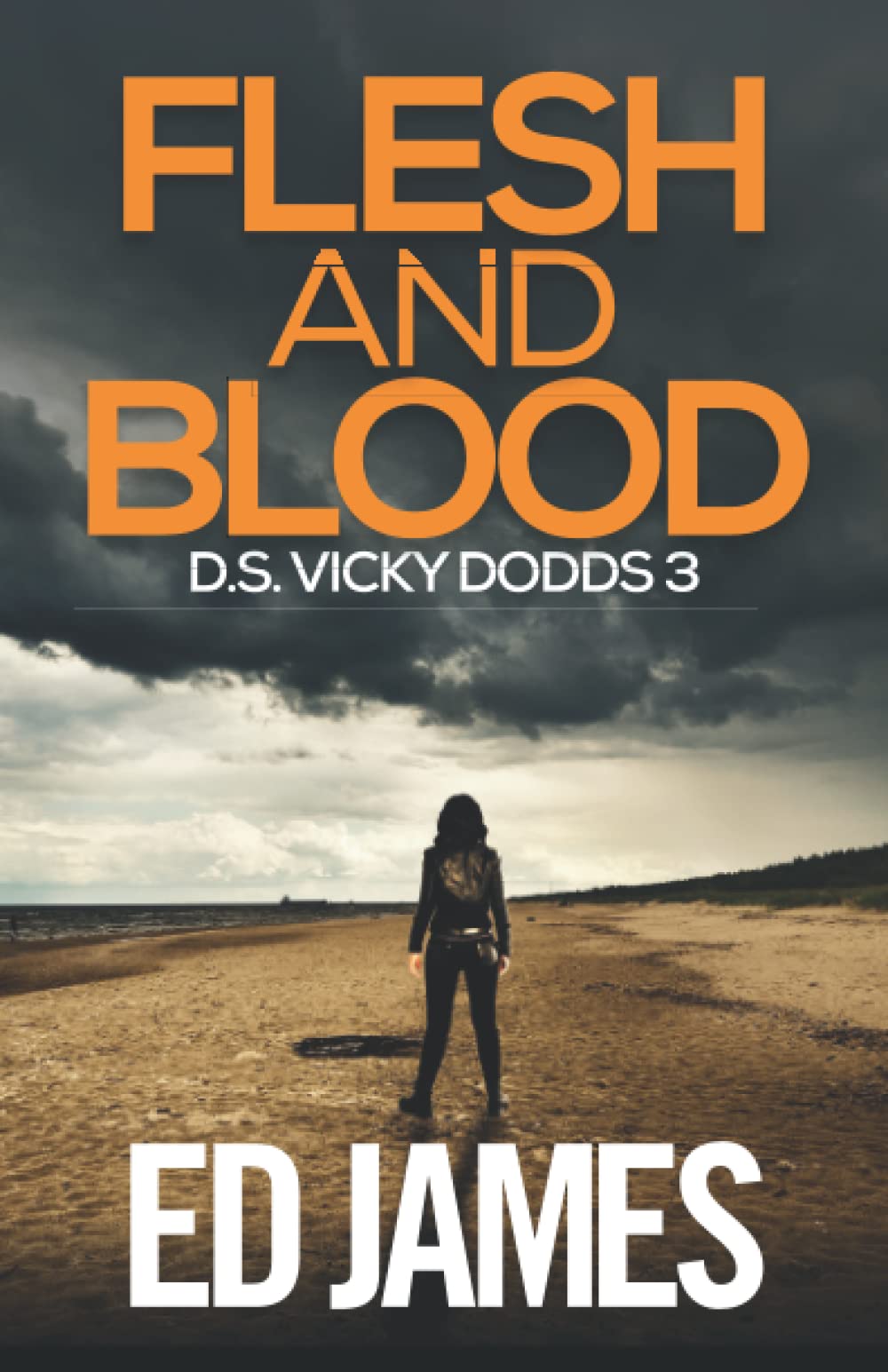 Flesh and Blood: 2 (DS Vicky Dodds Scottish Crime Thrillers)