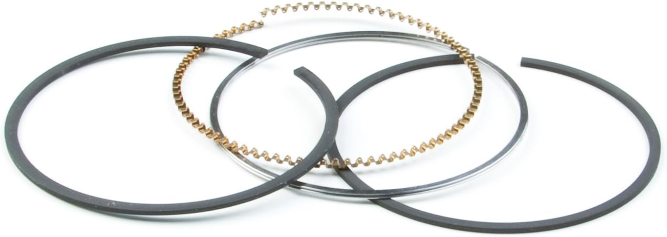 Briggs & Stratton 795690 DTF Ring Set Replaces 795132/790909