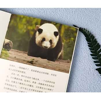 1.5か月齢、花花ファーファー/和花ホーファ　パンダ 大熊猫ぬいぐるみ　リアル Amazon.co.jp: 【ラッピング無料】和花（ホーファ） パンダ