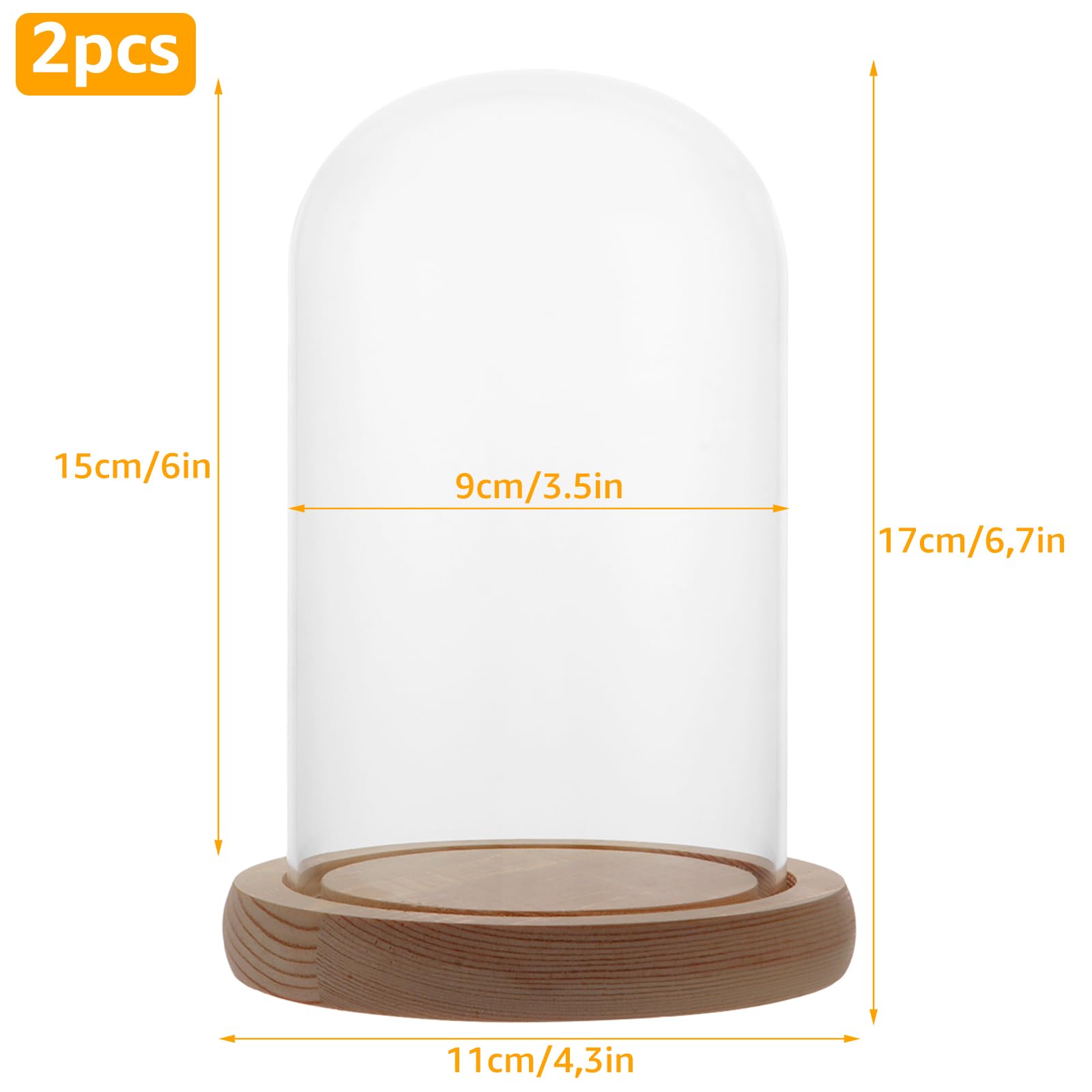 Set di 2 campane in vetro trasparente con fondo in legno, altezza 15 cm, per bambole, decorazioni da tavolo e antichità