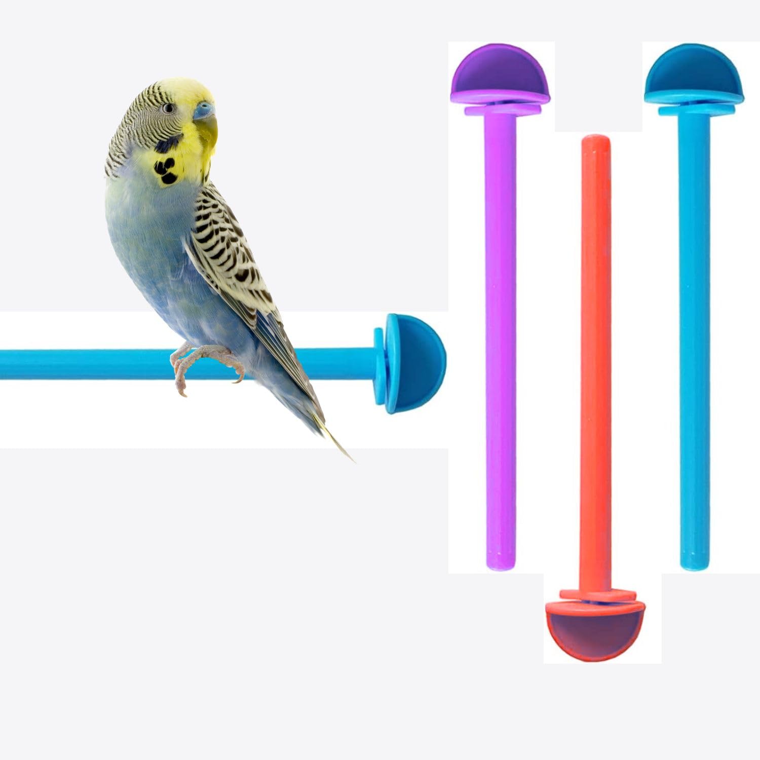 VAYINATO® Plastic Birds Cage Standing Perches (Colors May Vary) (Pack of 3) by Petzlifeworld (B09JW39RNC) Amazon Price History, Amazon Price Tracker