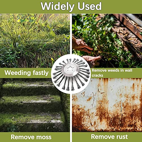 Bgtool 10 Inch Rotary Weed Brush Joint Twist Knot Steel Wire Wheel Brush Disc Trimmer Head 25.4Mm X 230Mm Universal Fit Straight Shaft Trimmer For Sthil Honda Etc #TOP3