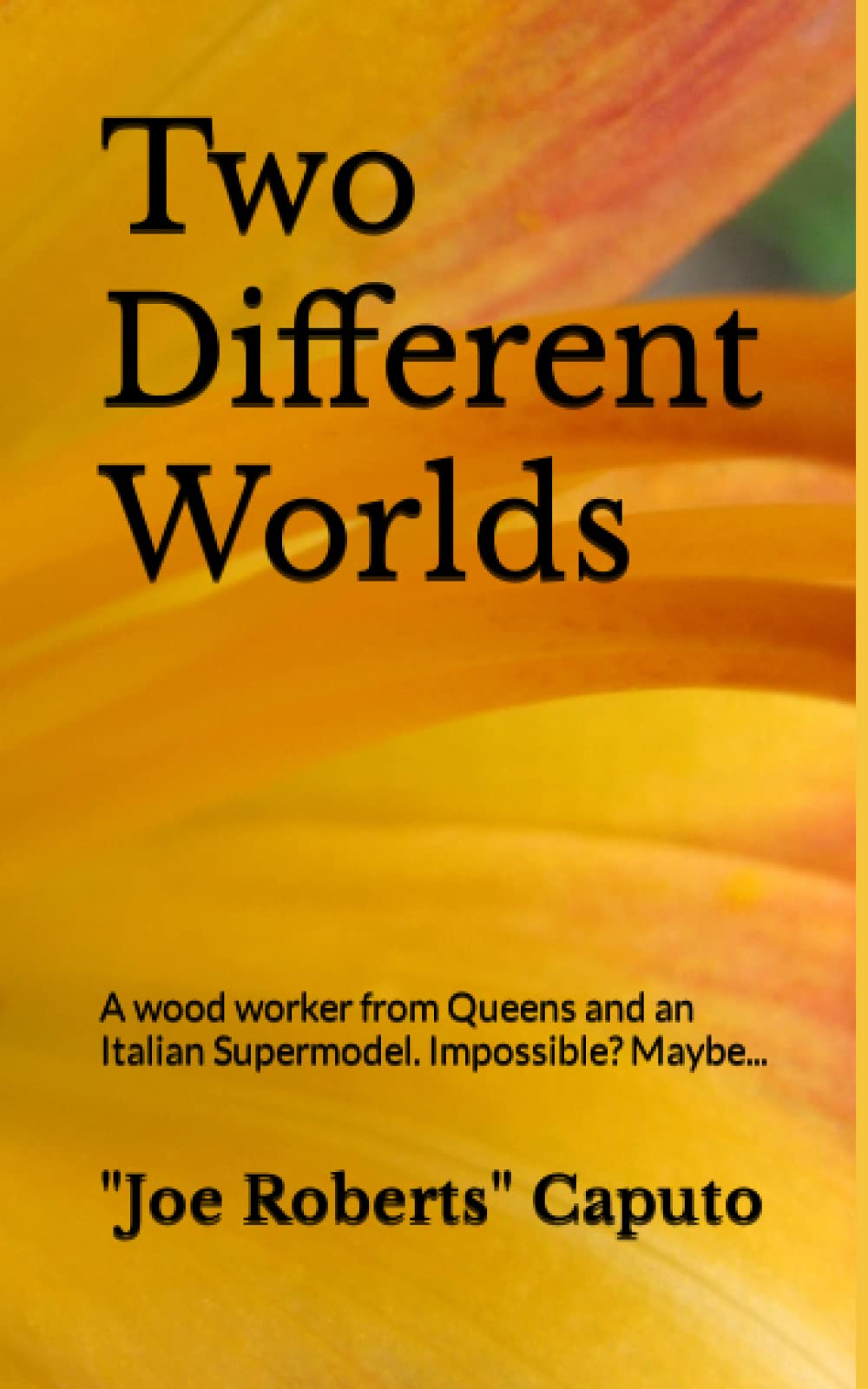 Two Different Worlds: A wood worker from Queens and an Italian Supermodel. Impossible? Maybe.