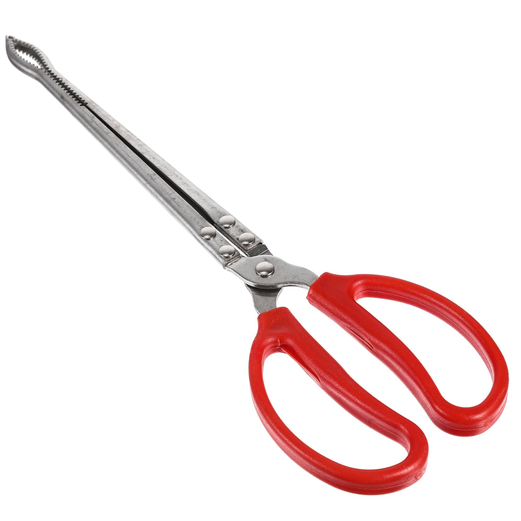 Pinza Multifunción para Pesca de Anguila y Calamar 37.5X10.5 CM Acero Inoxidable y ABS Ligera Antideslizante para Captura en Mar