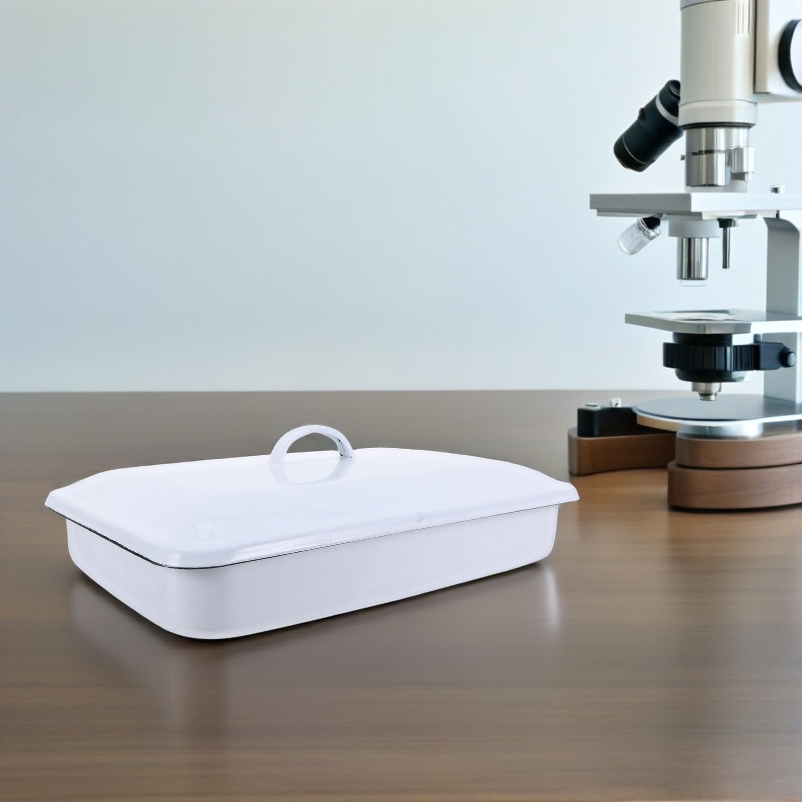 Cabilock Bandeja Esmaltada Rectangular 30X20X5 CM con Tapa para Laboratorio Recipiente para Instrumental y Material de Vidrio Bandeja para Clasificación y Almacenamiento de
