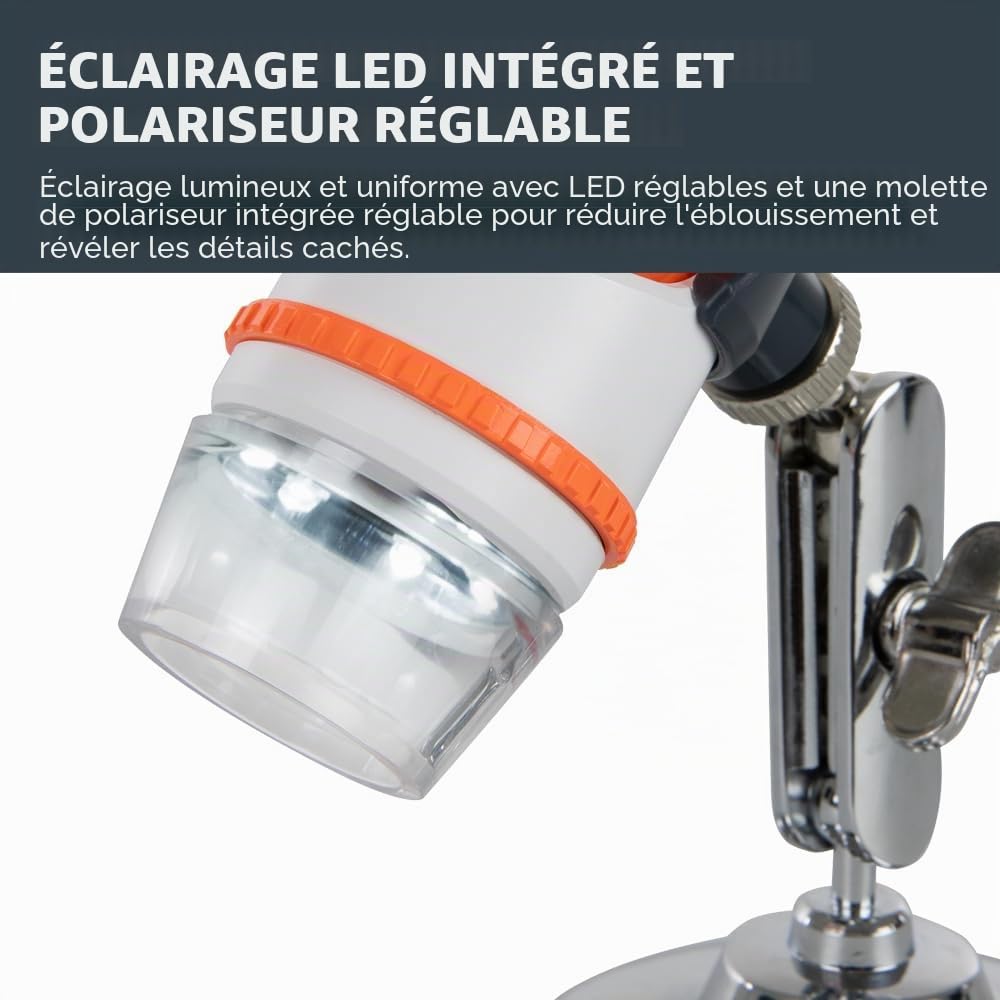 Celestron Deluxe 44302-C Microscope numérique portatif, Gris