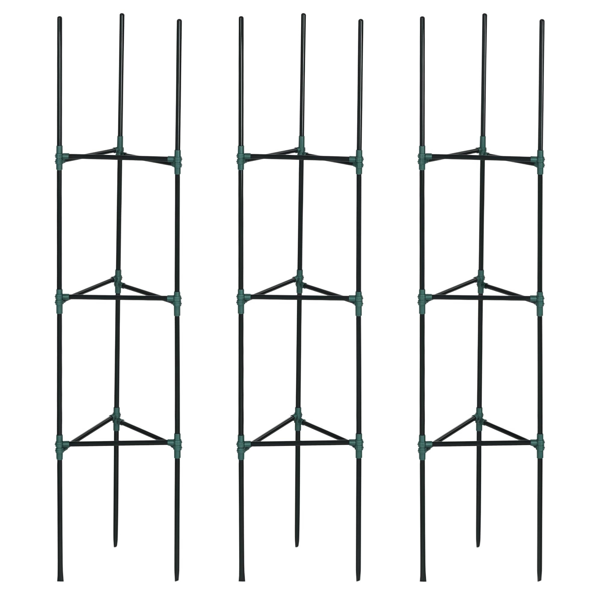 Celosias para trepadoras