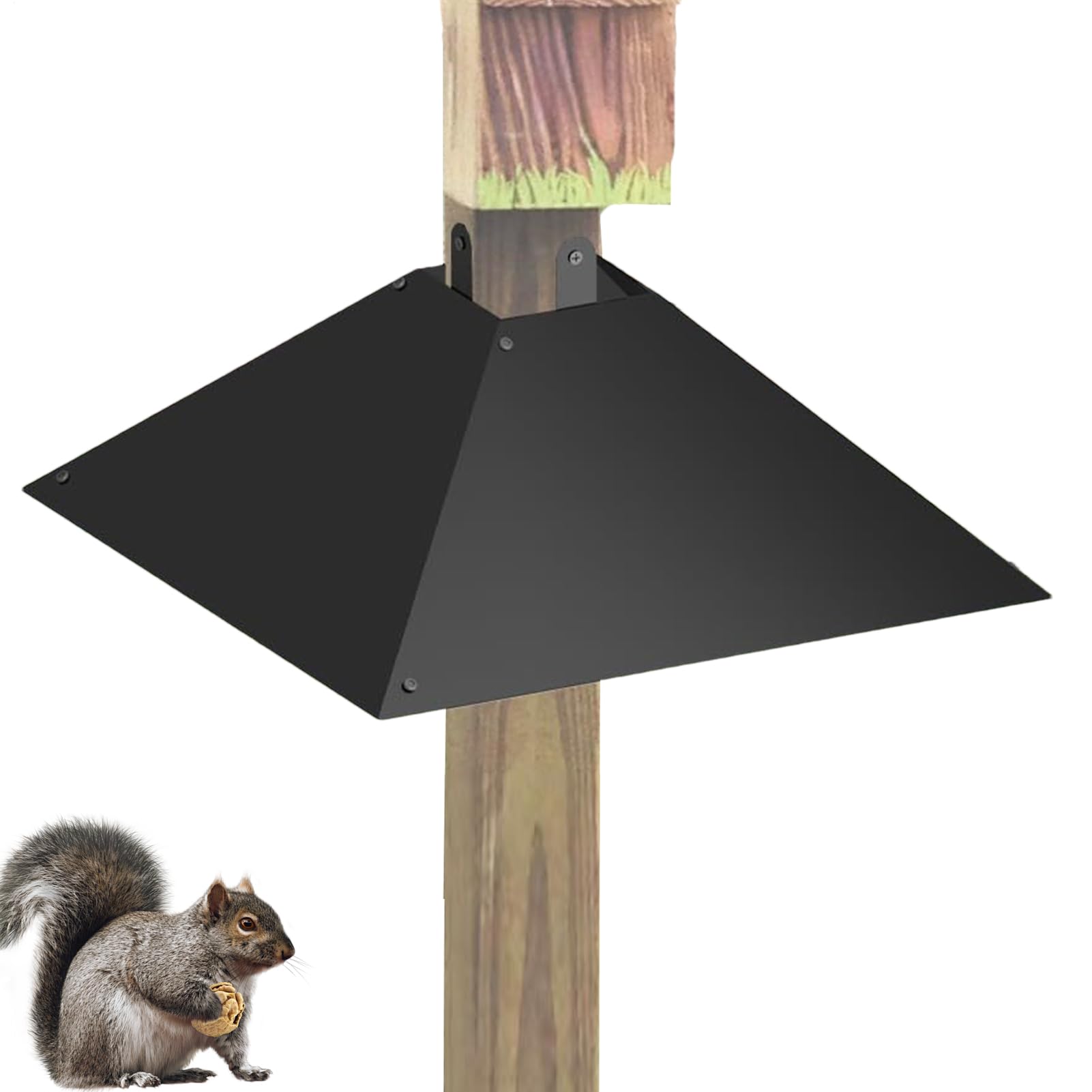 Perbes di scoiattolo per di alimentazione degli, parata di mangiatoie per per il | 4x4 Post mangiatore di Bafflel Squirrel | da giardino con pali in legno