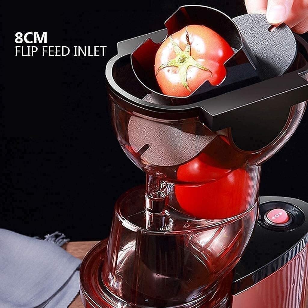 Slow Juicer Machine, Whole Fruit Masticating Juicer with Double Mouth Separation Mode, High Nutrient & Vitamin Extraction, Easy to Clean, Compact