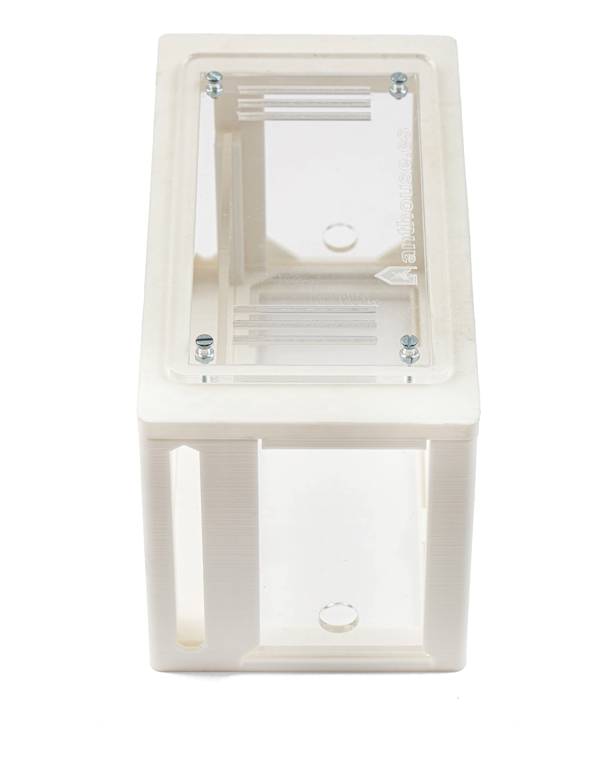 AntHouse - Fourmilière Naturelle en Sable | Kit Commencement 3D 20x10x10 cm Vert | Fourmis Incluses - 5