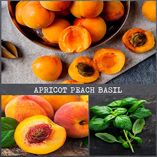 100% Soy, Highly Scented, Hand Poured Soy Candle, 8.1 Oz (Apricot Peach Basil) #TOP2