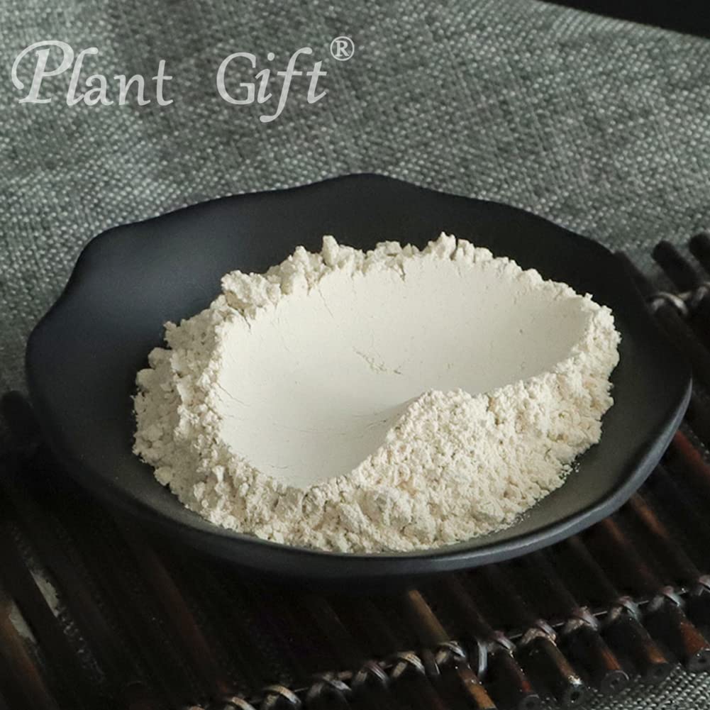 Plant Gift 100% Pure Angelica Dahurica Powder 白芷粉 Natural Angelica Dahurica Flour, Great Flavor for Drinks, Adds Flavor and Taste Non-GMO Powder, No Filler, No additives 100G/3.25oz