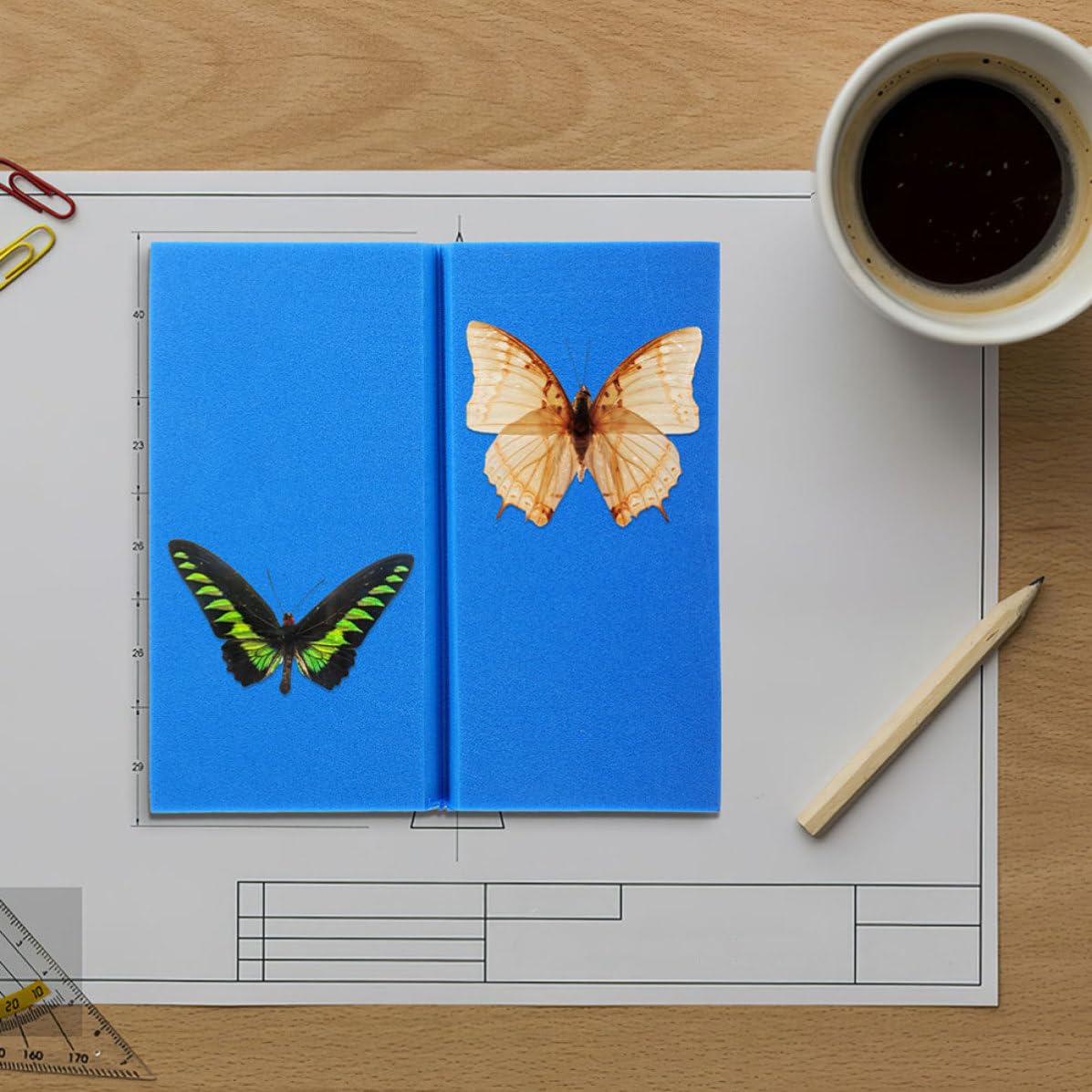 2pcs Insect Specimen Tools Kit Butterfly Pinning Board Made of Lightweight Eva Foam for Science Classroom and Personal Collections with Multifunctional Design