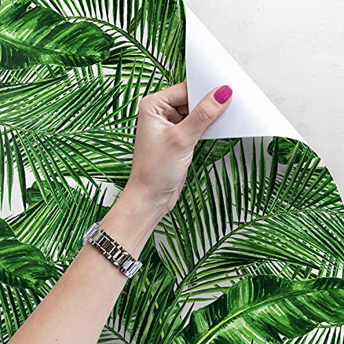 Papier peint tropical auto-adhésif Coloray pour masquer les défauts d'un mur - 4