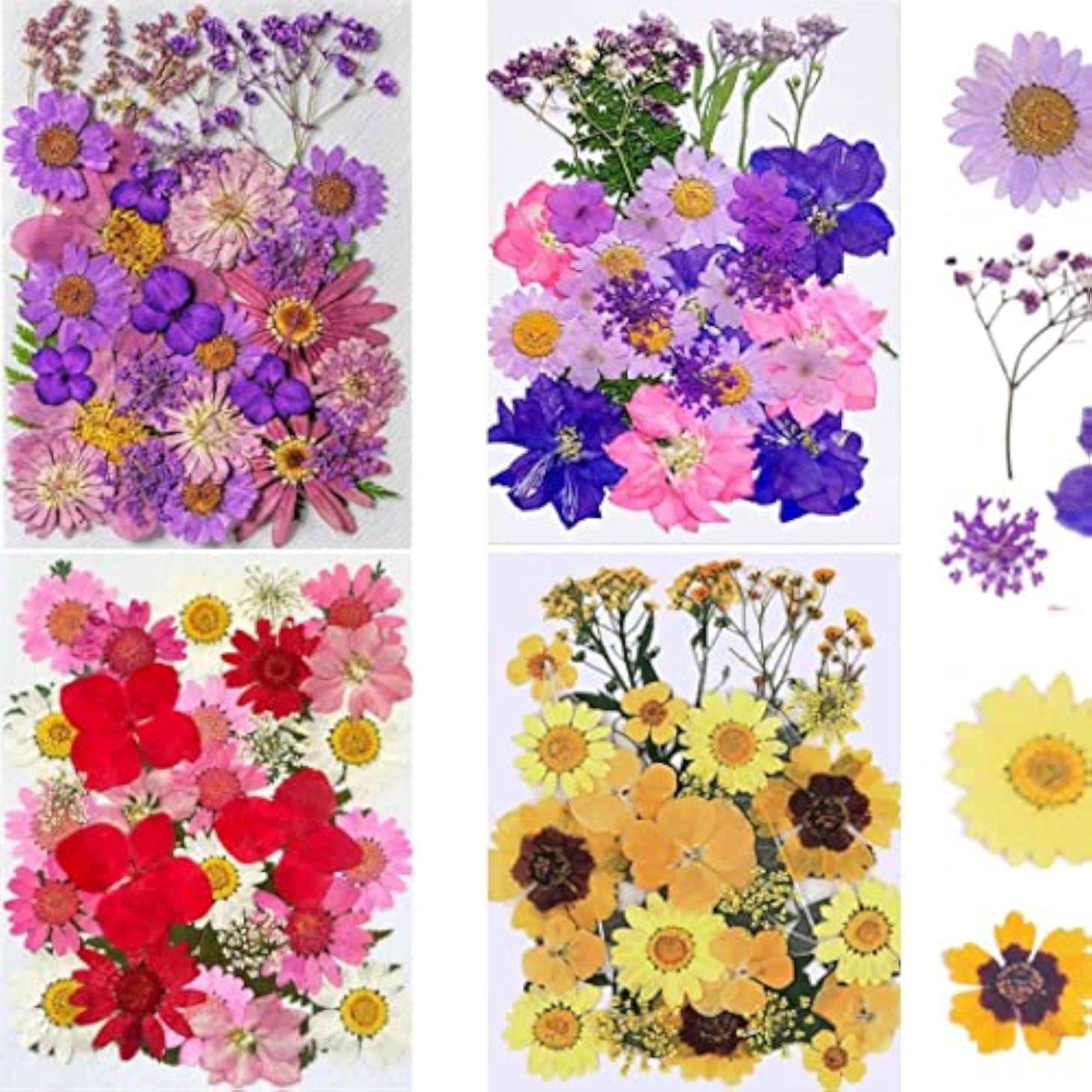 Real Pressed Dried Flowers Leaves Combo for DIY Crafts