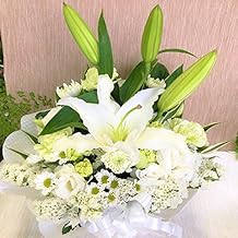 フラワーショップ フローラル Amazon Co Jp