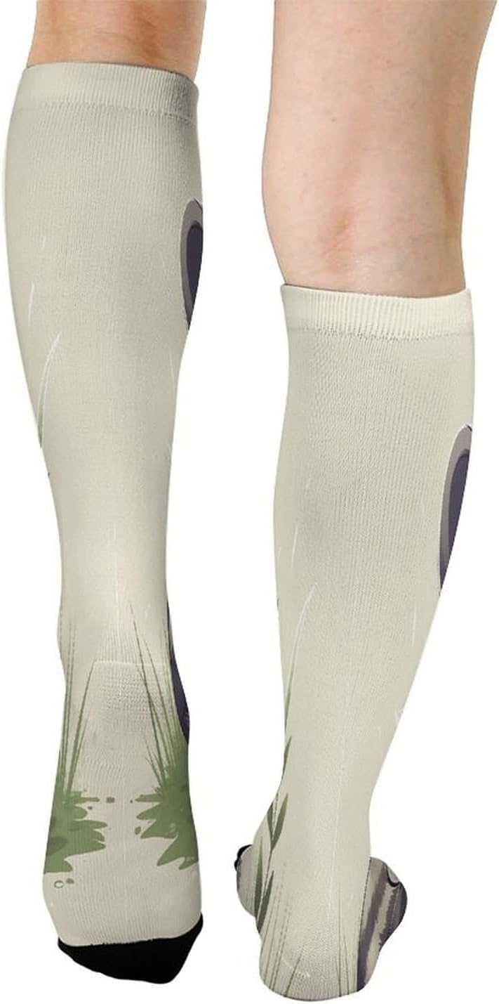 Raccoon on The Grass Compression Sock Breathable Support Socks Lightweight Knee High Tube Socks for Women Men