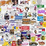 100pcs Viral Funny Stickers Teens/Adults, Laptop, Water Bottle, Hard Hat, Gift for Him, for Her, 2025 Updated Jokes