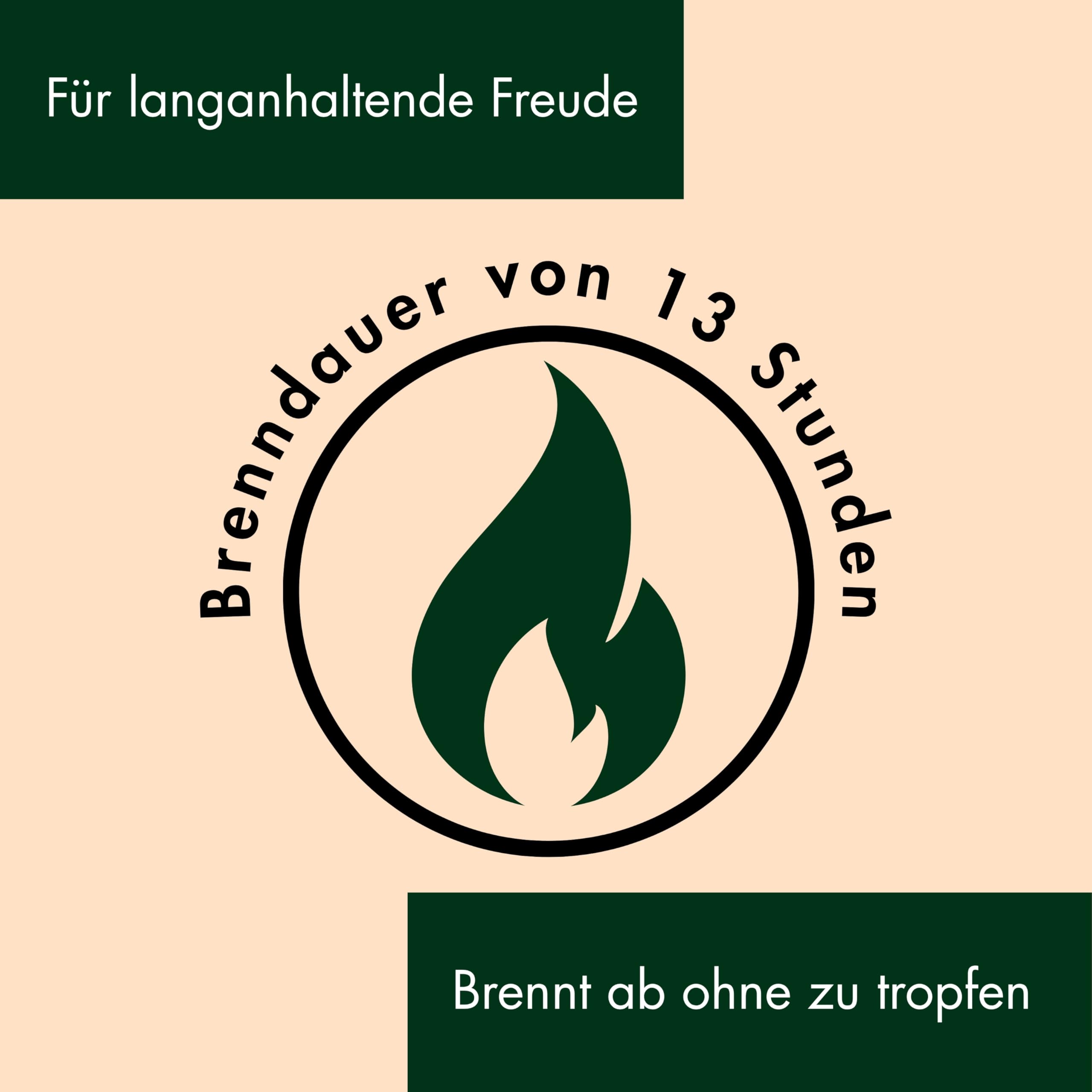 4 Bienenwachskerzen rot 10 * 5 cm - Wabenkerzen 100% Kerzen Bienenwachs Bio handgefertigt - Kerzen Adventskranz Weihnachtskerzen Honigkerzen ohne Paraffin - 13 Std. Brennzeit