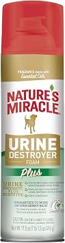 Natures Miracle Urine Destroyer Plus for Dogs, Enzymatic Formula for Severe Dog Urine Stains, 17.5 oz