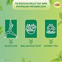 Lipton Green Tea, Clear & Light, 50 Tea Bags, for Weight Loss, with Catechins to Boost Metabolism, Zero Added Sugar, All Natural Ingredients gallery image