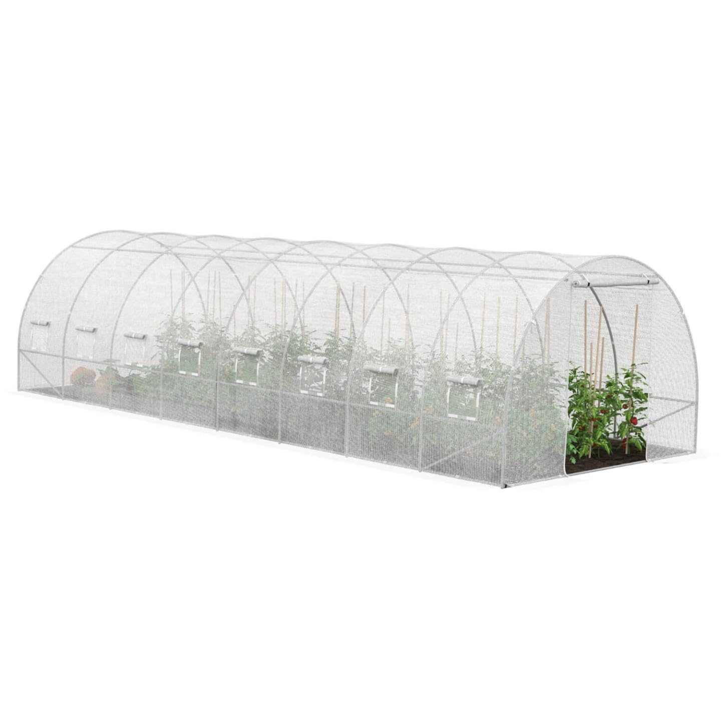 IDMarket - Invernadero túnel para jardín de 24 m², color blanco, gama de huertos de los Andes, 8 x 3 m