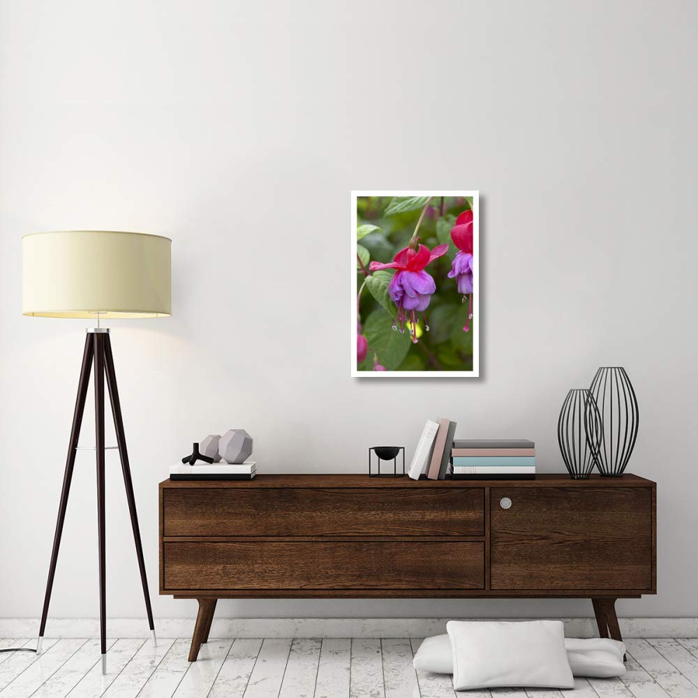 Oeuvres d'art Italia variété rouge fuchsia et bleu fleur-Papier Art - 22 "x32"