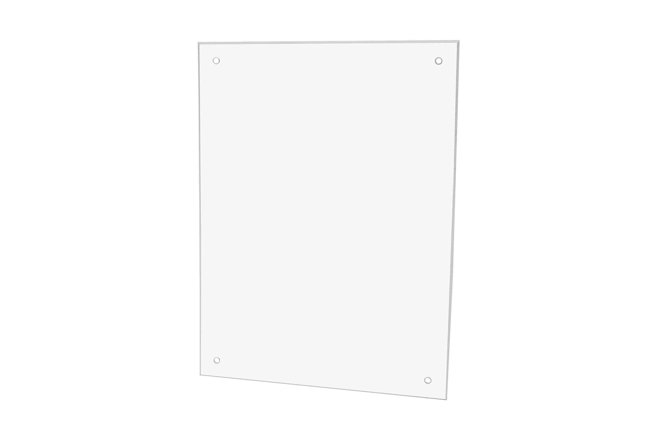 Clear Acrylic Wall Protector 5