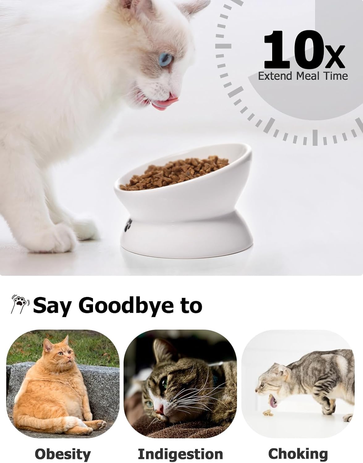 Elevated Tilted Ceramic Cat Bowl for Flat-Faced Pets