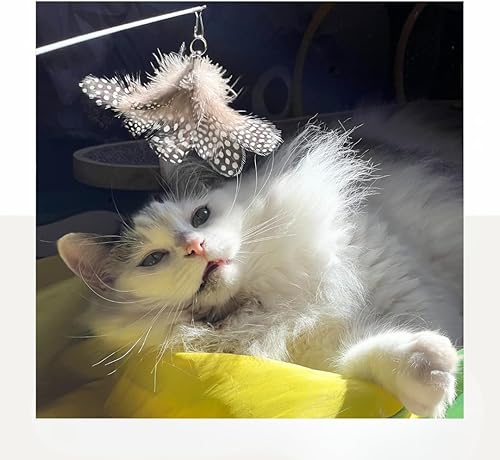 Miniatura 9 de Juego de juguetes de varita para gatos, 2 varitas de plumas con 4 recambios intercambiables, alambre flexible de 27 pulgadas y mango de madera,