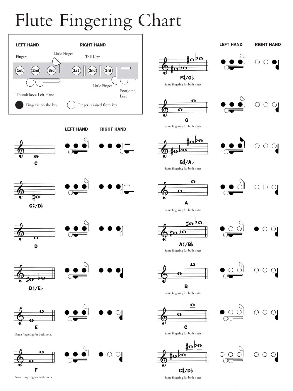 Guest spot abba: playalong for flute +cd