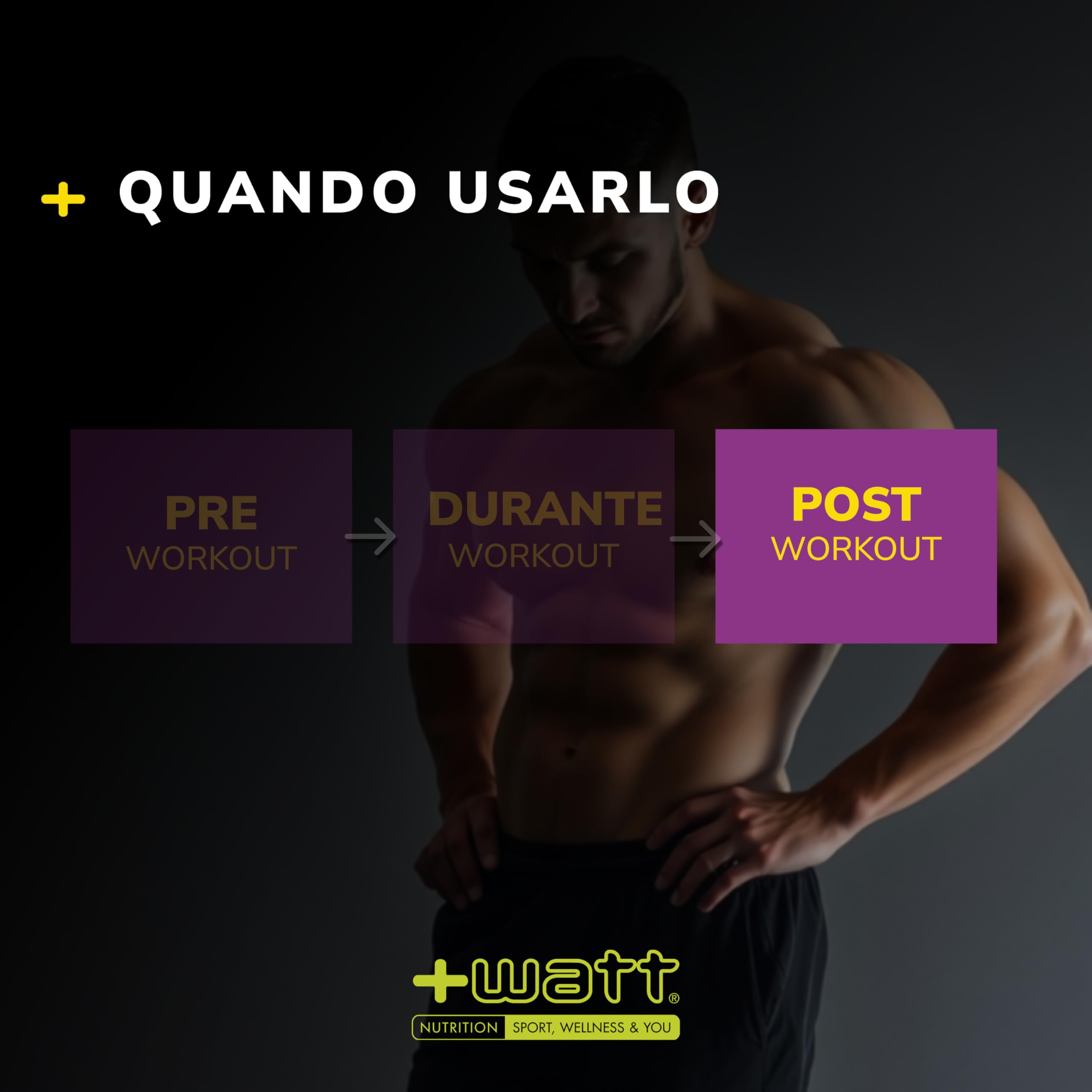 RM1 New Formula (BCAA 8.1.1) - Recovery Mix Post Workout - Formato: 500 g - Gusto Arancia