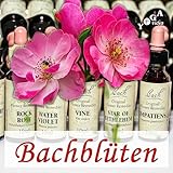 Bachblüten Therapie