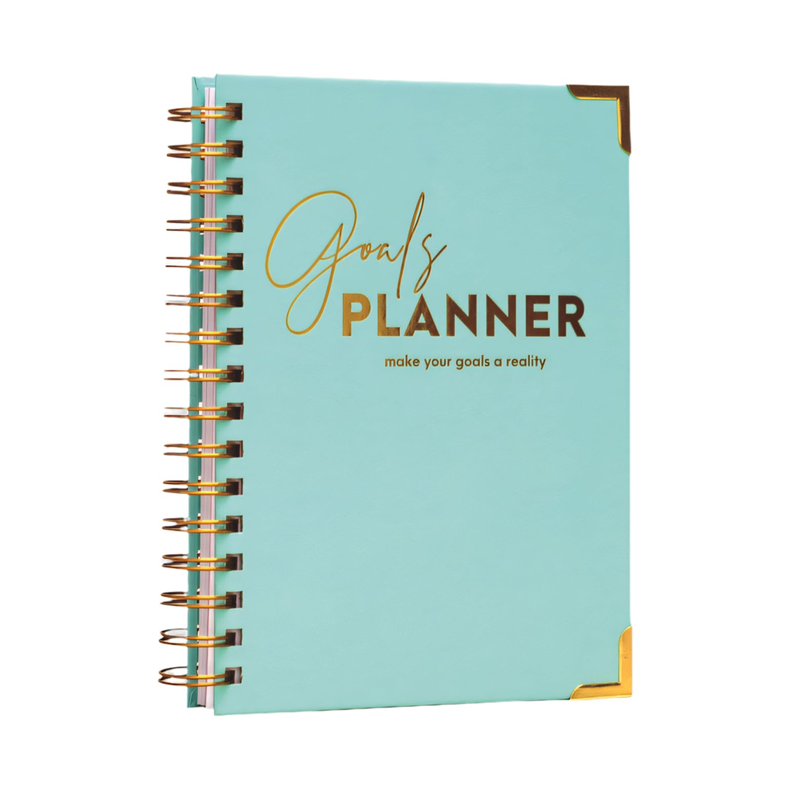 Agenda premium con copertina rigida con pagine degli obiettivi annuali e sezioni per appunti gestione efficace del Agenda premium con copertina rigida con sezioni mensili settimanali