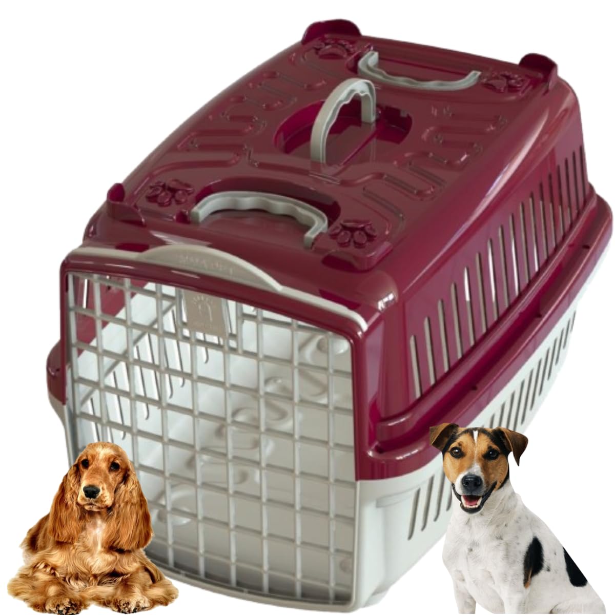 Caixa De Transporte N°4 Para Cachorro Médio Porte Avião Pet Shop Veterinário