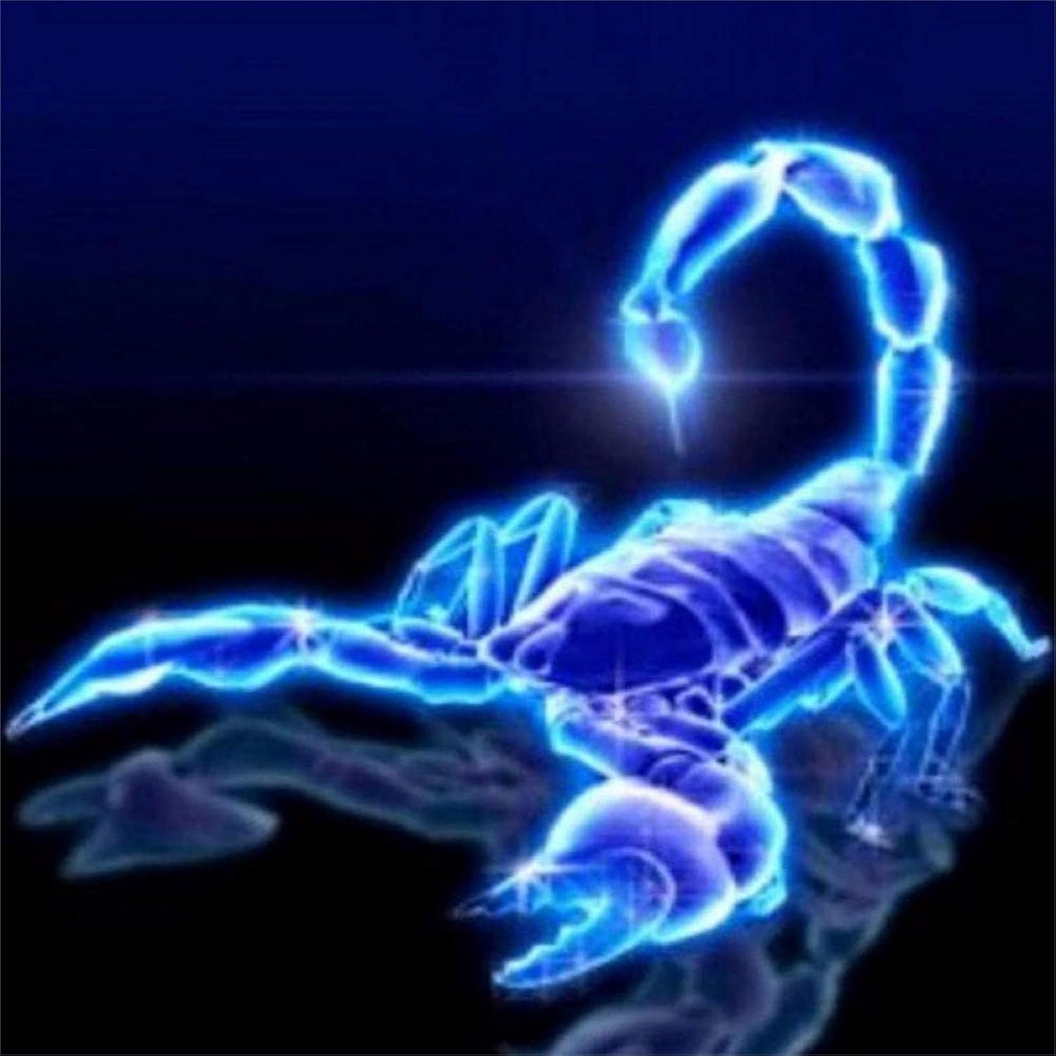 Diamond painting scorpion phosphorescent