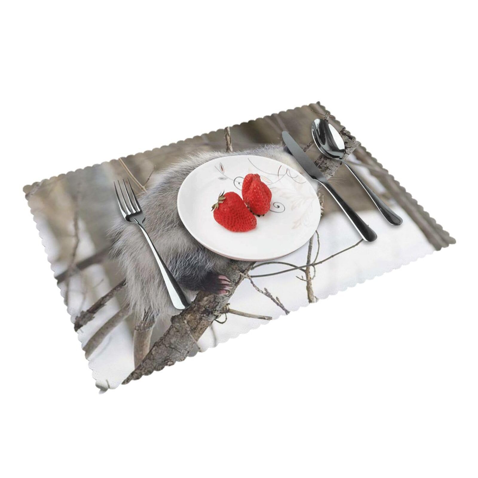 Bnvsadc Opossum In Snow 4 Pcs Heat Resistant Placemat 45X30 Cm, Printed Non-Slip Place Mats For Kitchen Dining Table Indoor Outdoor