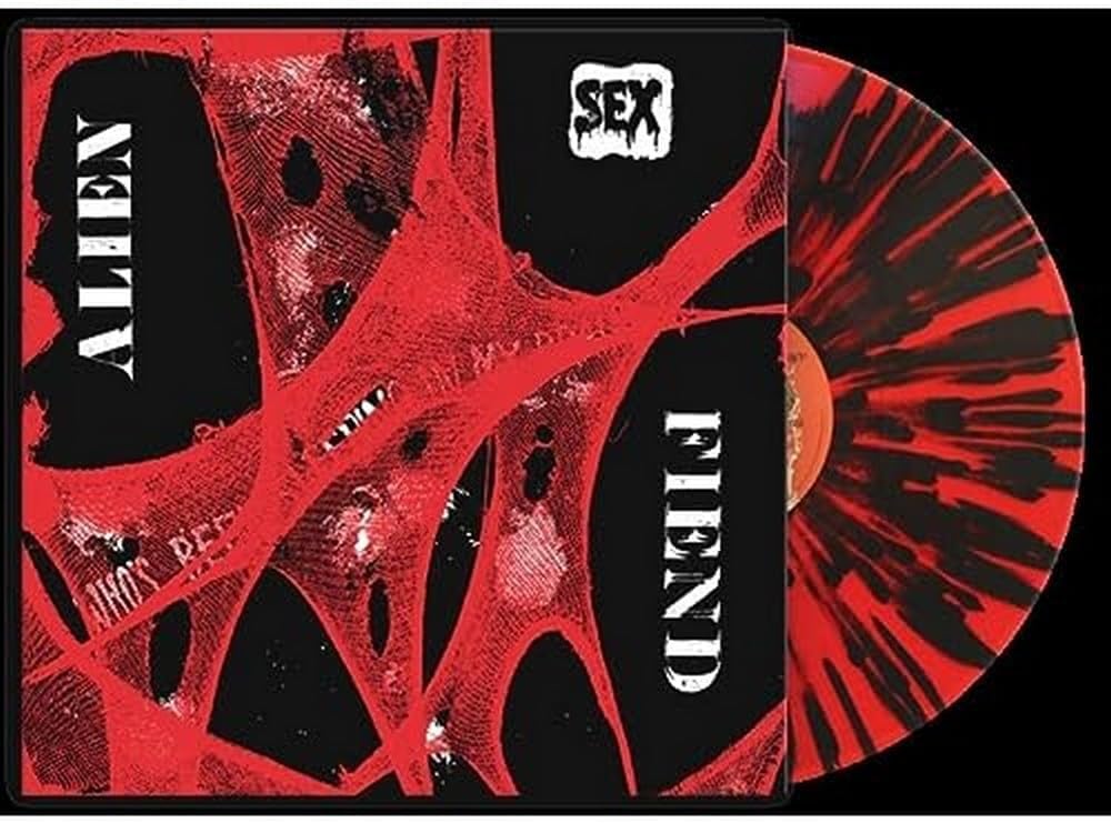 Who's Been Sleeping In My Brain?