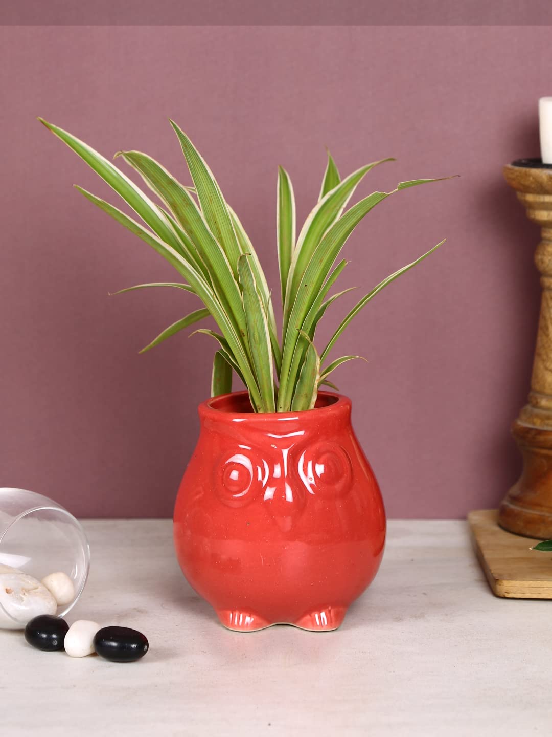 Aapno Rajasthan Red Owl Shape Head Mini Planter Pot (B0BH4D6XGH) Amazon Price History, Amazon Price Tracker