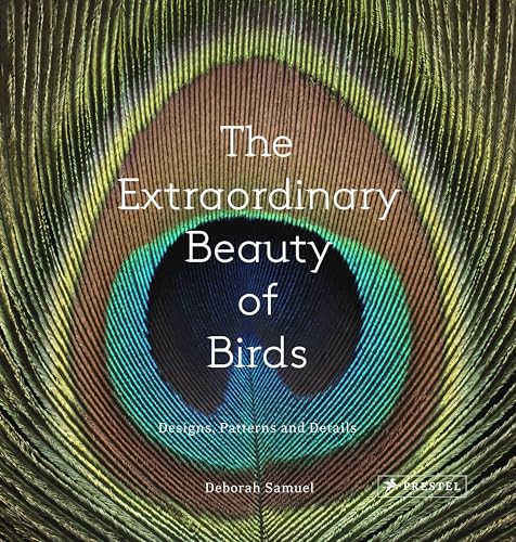 The Extraordinary Beauty Of Birds: Designs, Patterns And Details